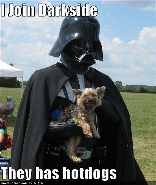 Name:  funny-dog-pictures-dog-joins-the-dark-side-because-there-are-hotdogs.jpg
Views: 7665
Size:  38.5 KB