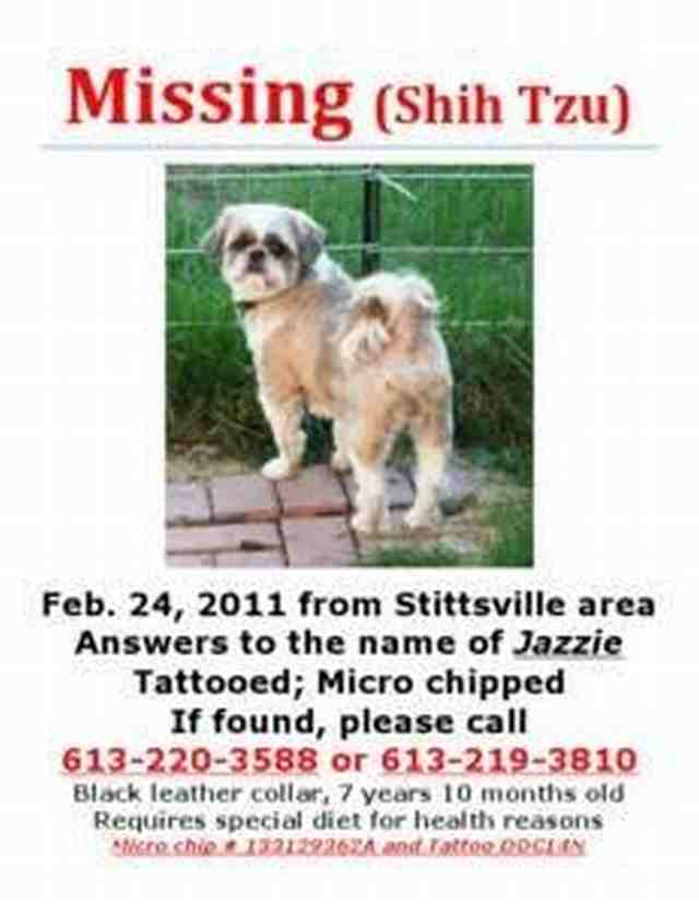 Name:  Missing Jazzie[1].jpg
Views: 360
Size:  27.0 KB
