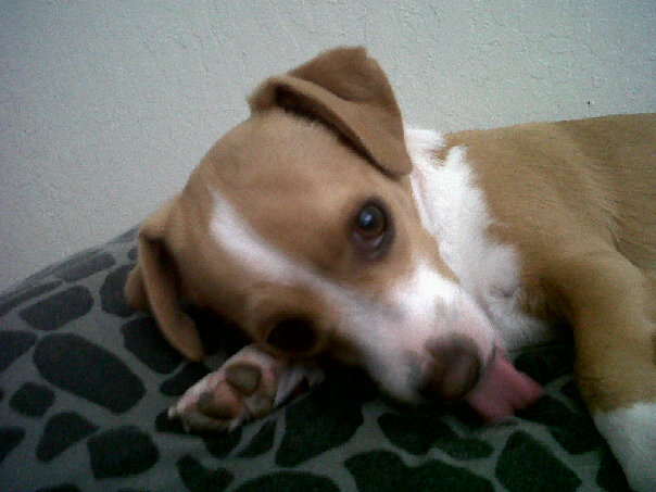 Kona