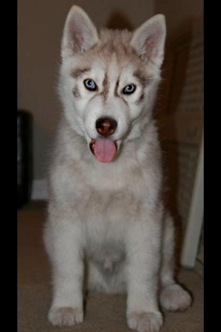 Axel