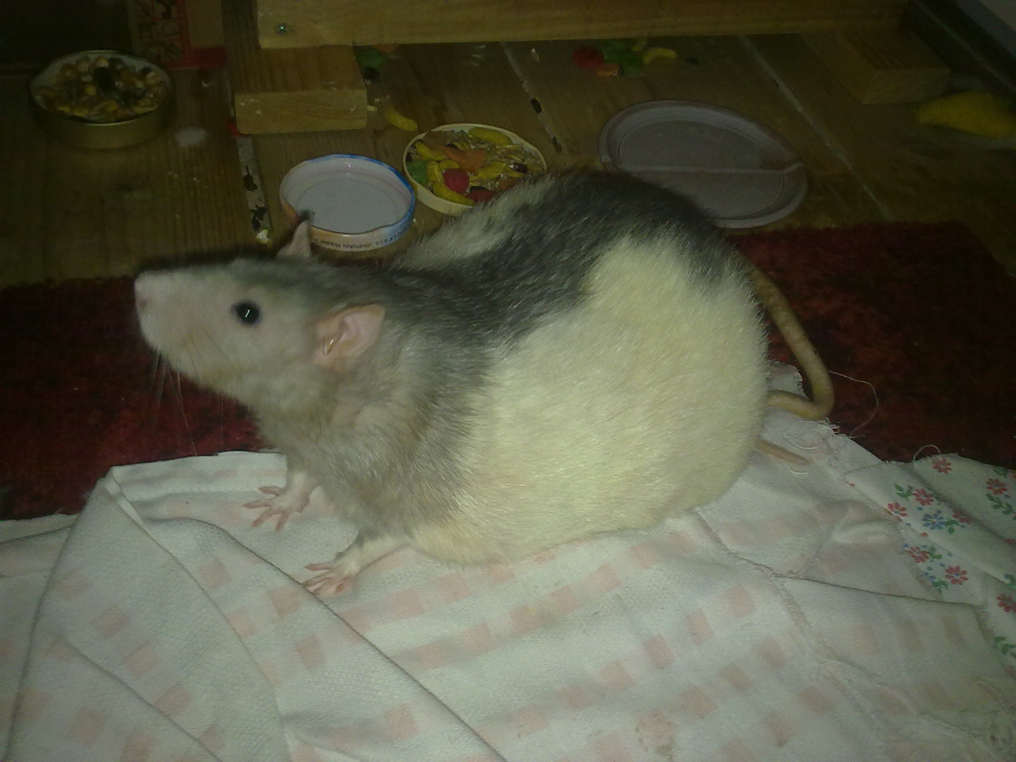 Fufinek