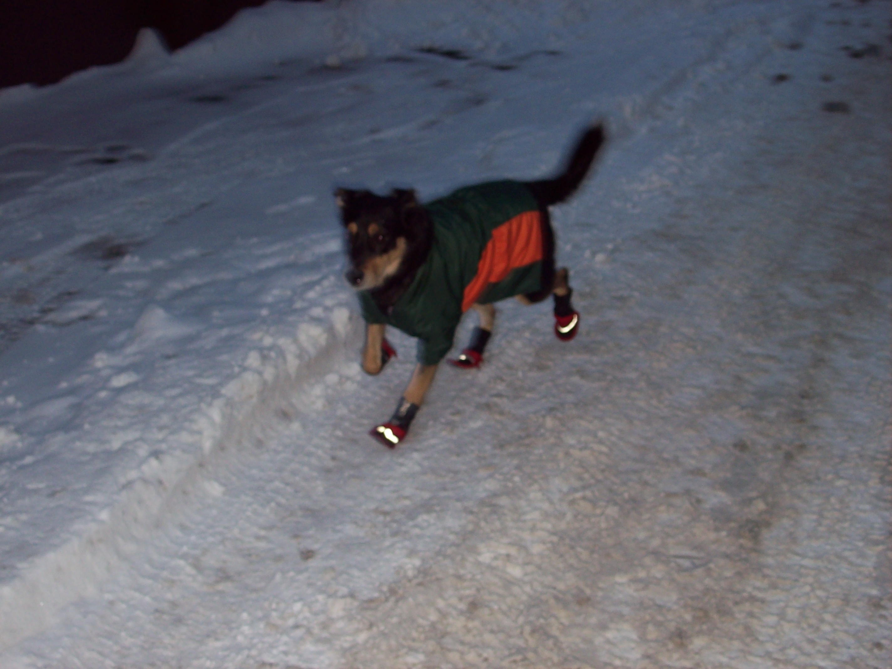 Comet