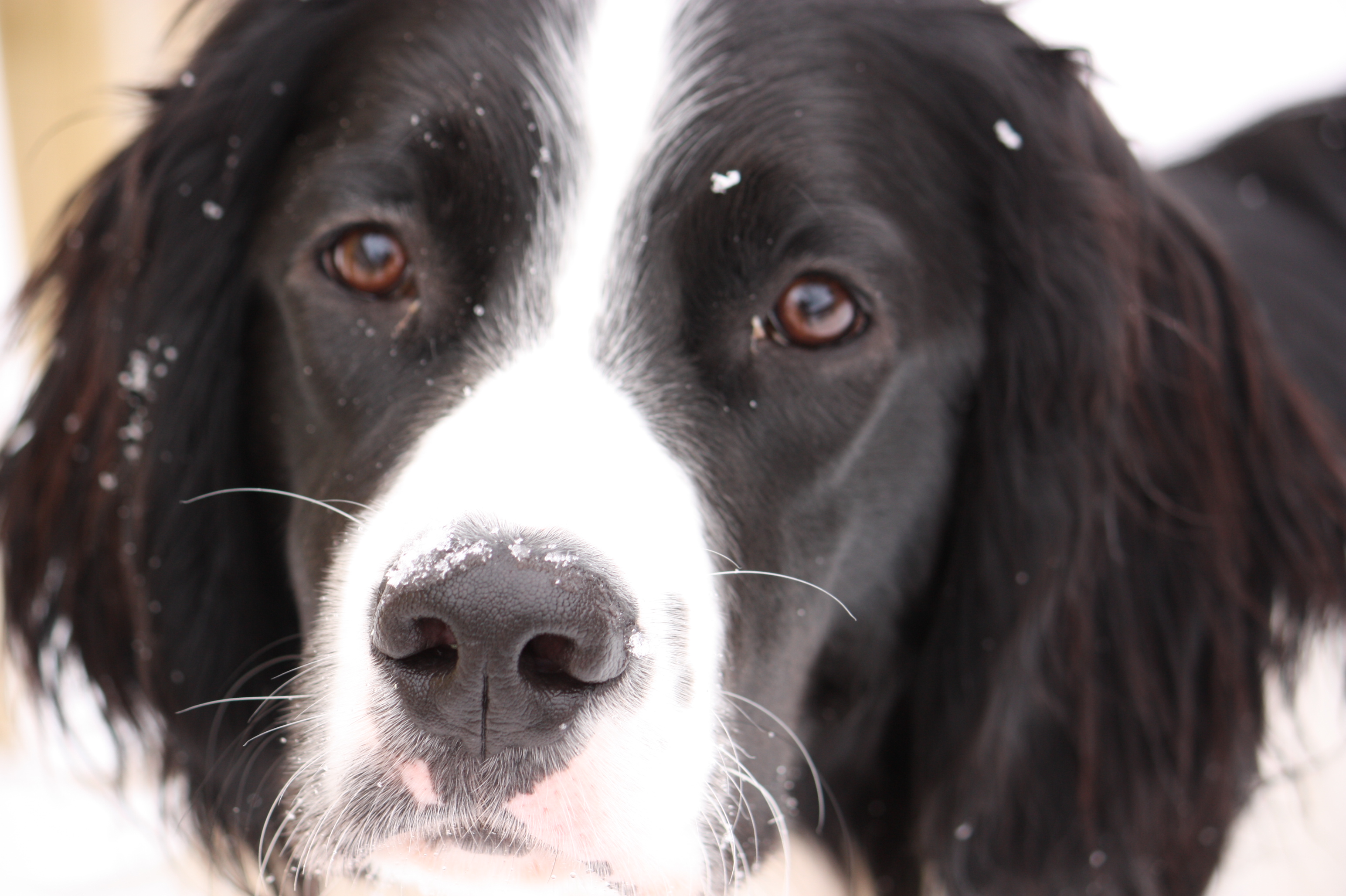 Jack