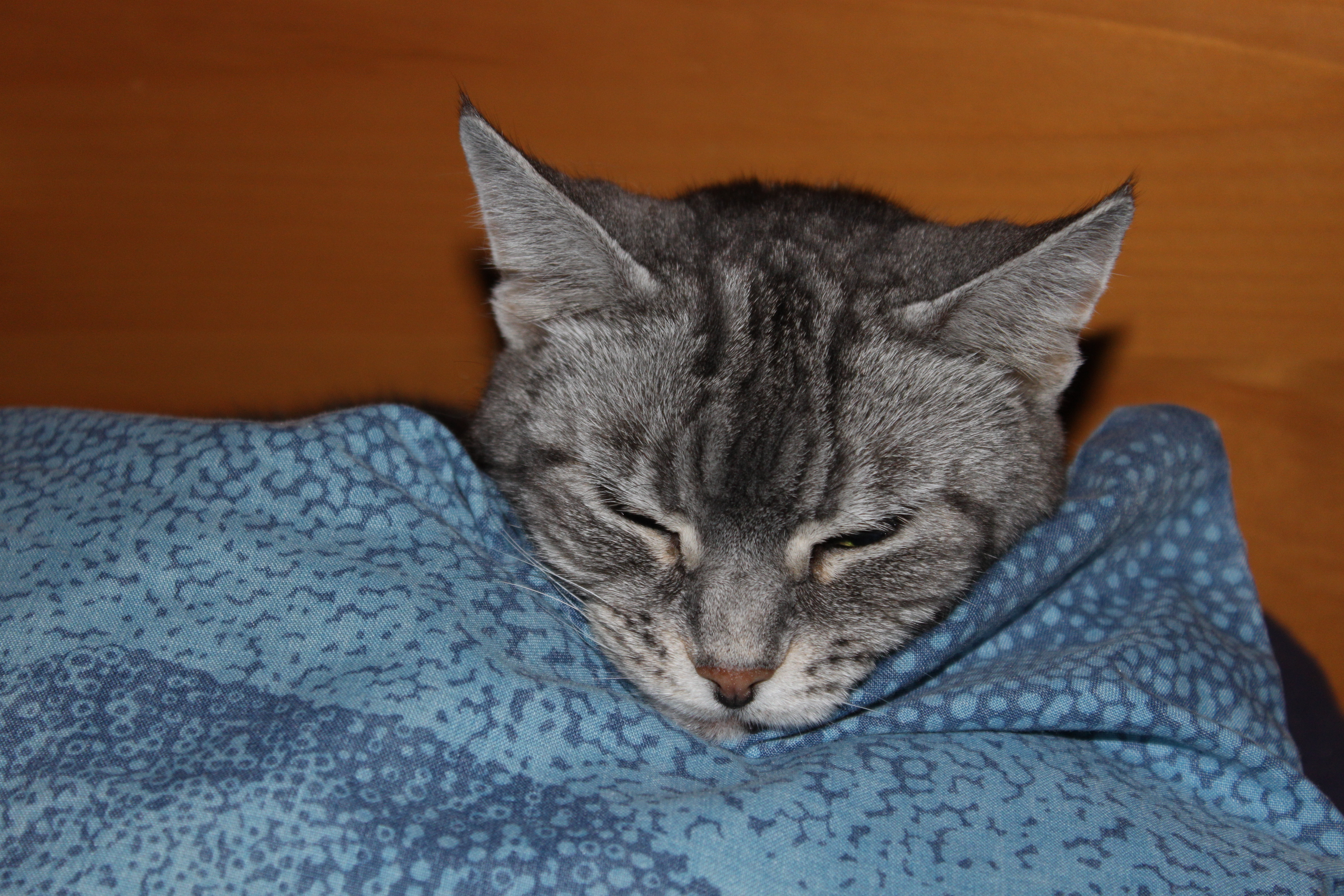 Arwen