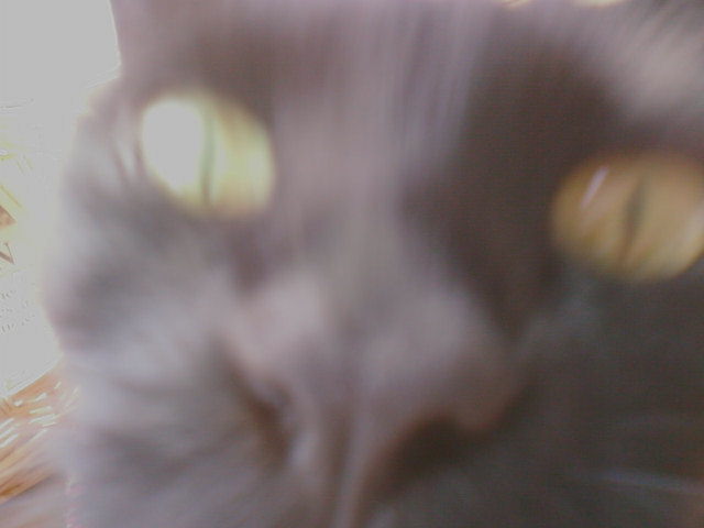 Carlie
