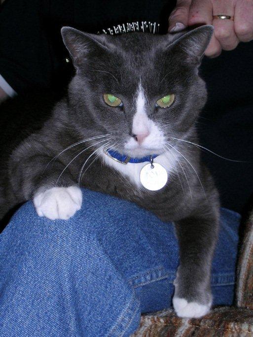 Tom