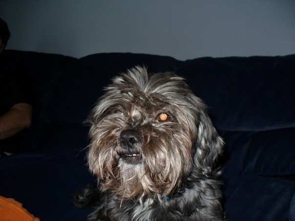 Max