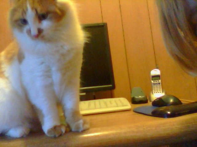 Dexter