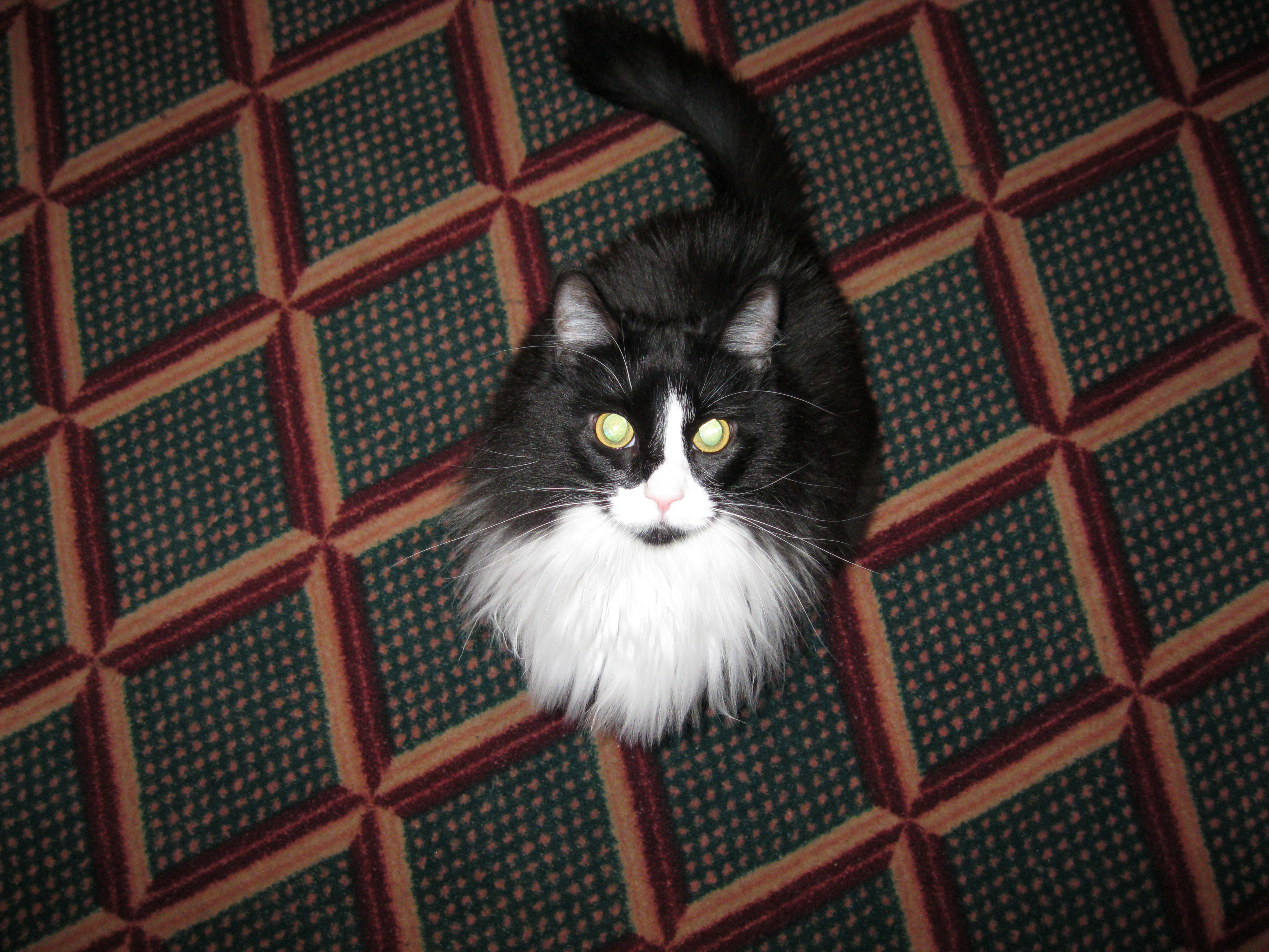 Sicily aka Sissy
