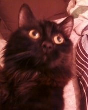 Charly
