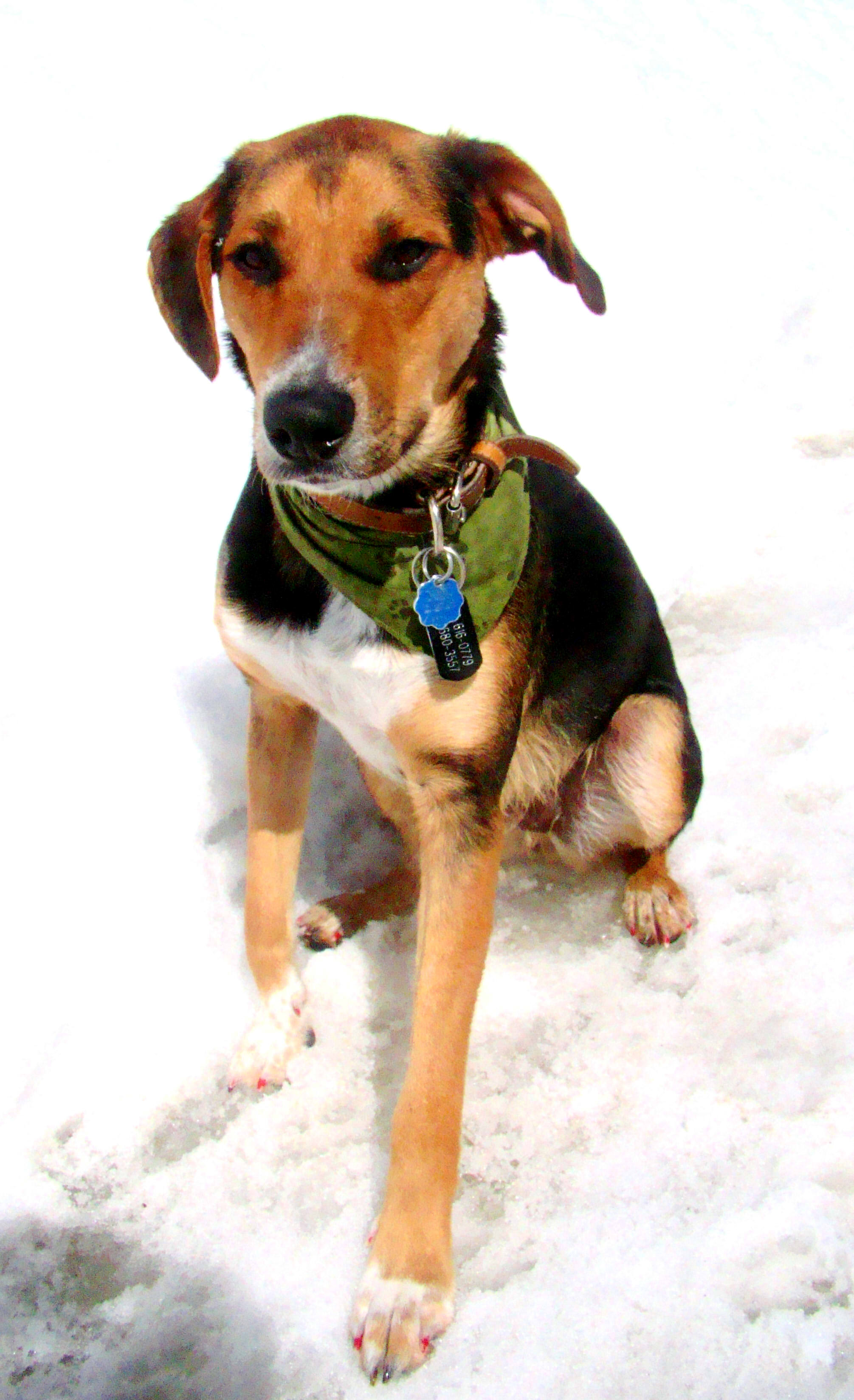 Buster