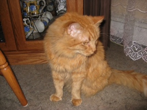 Kiril