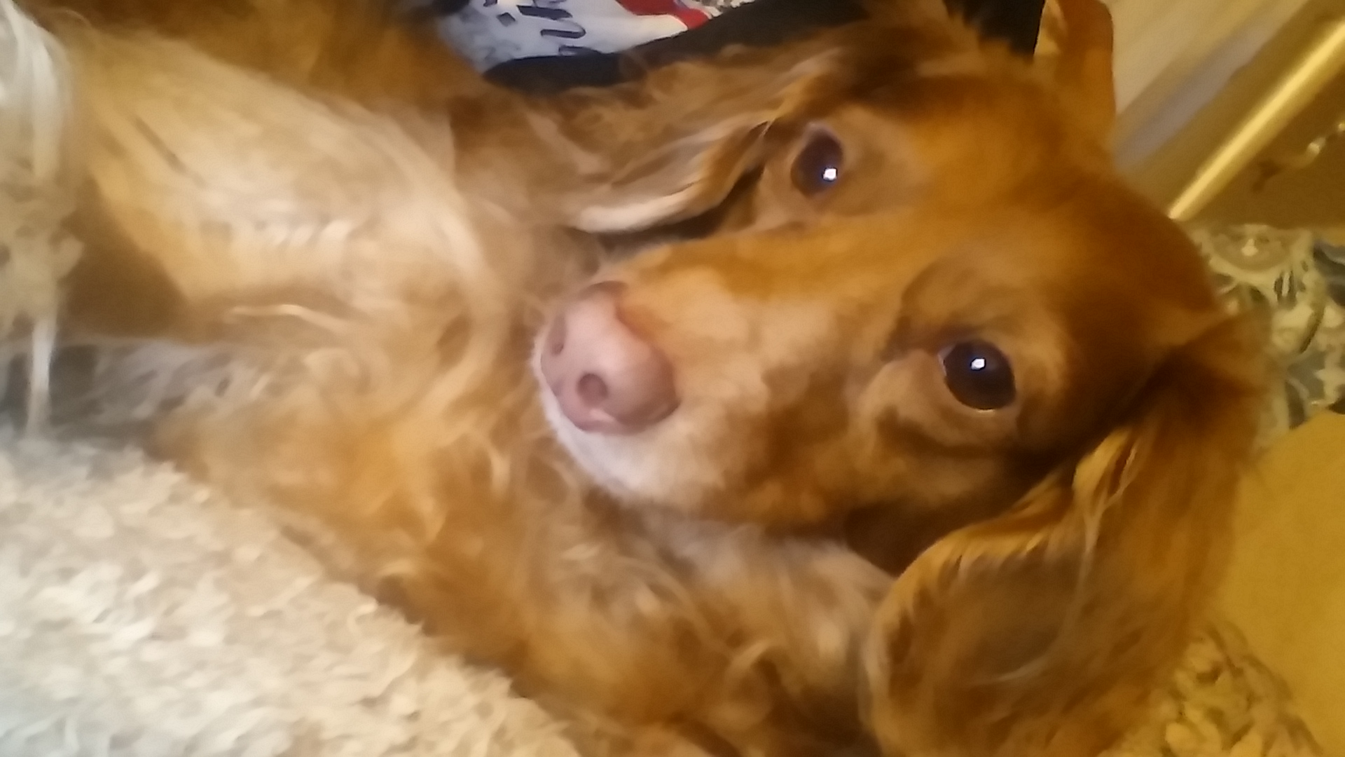 Abby
