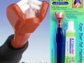 Toothbrush & Toothpaste Kit for Pets
