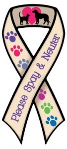 Spay and Neuter Ribbon Magnet